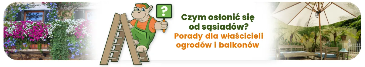 Czym osłonić się od sąsiadów Porady dla właścicieli ogrodów i balkonów
